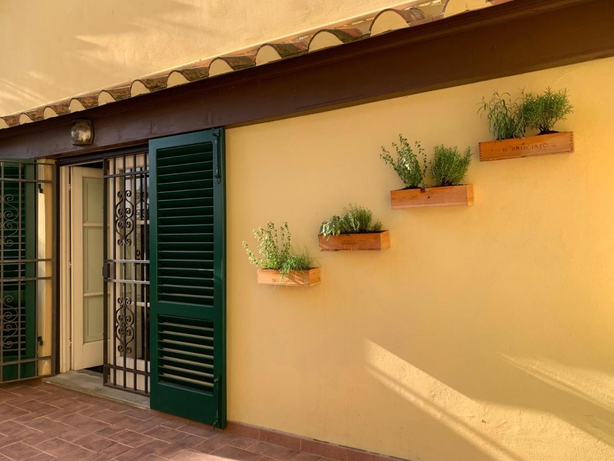 La Terrazza Di Via Elisa Panzió Lucca Kültér fotó