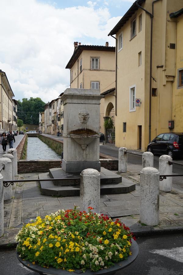 La Terrazza Di Via Elisa Panzió Lucca Kültér fotó